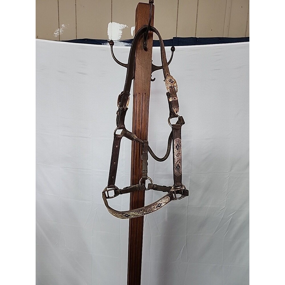 Western show halter with Silver design